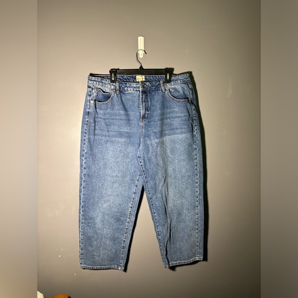 Eloquii The Loose High Rise Jean Women’s Size 16 - Picture 2 of 5